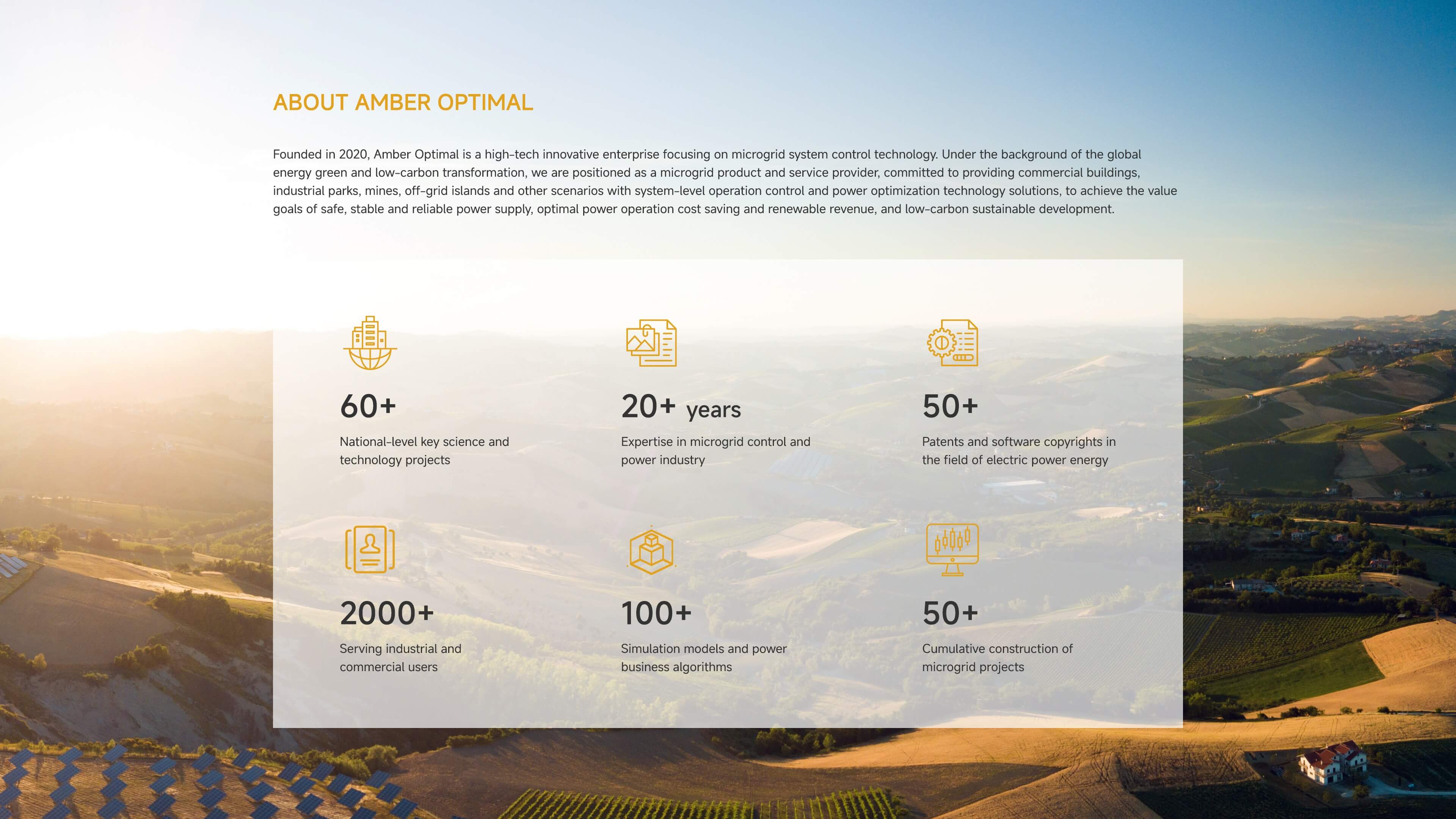 Amber Optimal
